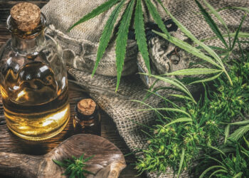 What is Harle Tsu, and Should you Add it to Your Lifestyle?