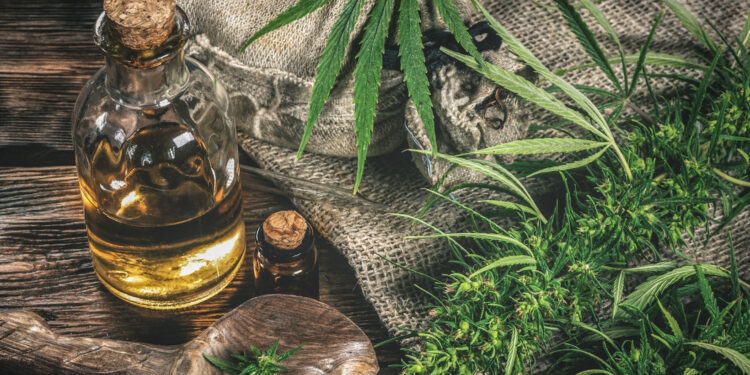 What is Harle Tsu, and Should you Add it to Your Lifestyle?