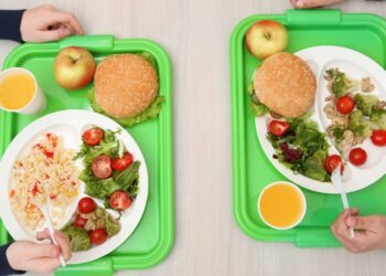 Unique Foods Sold in the Student Cafeterias Worldwide