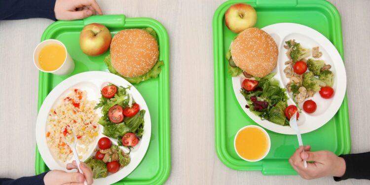 Unique Foods Sold in the Student Cafeterias Worldwide