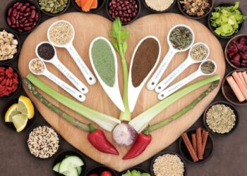 How to Monetize Knowledge About Healthy Nutrition?