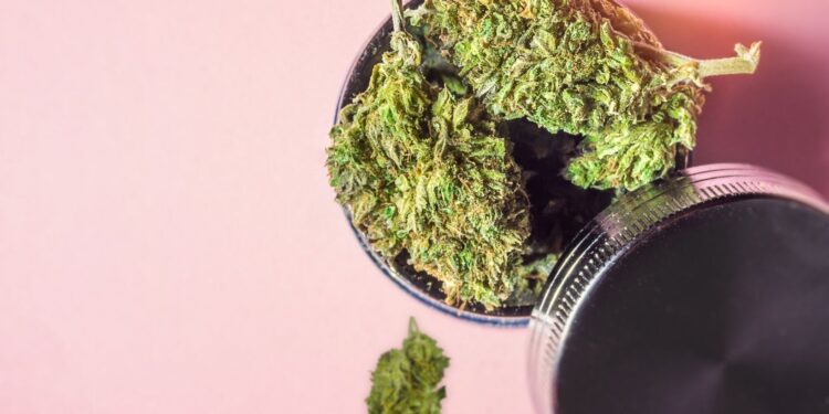 10 Features To Check While Buying Weed Grinders Online