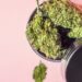 10 Features To Check While Buying Weed Grinders Online