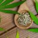 What Are High-CBD Feminized Cannabis Seeds