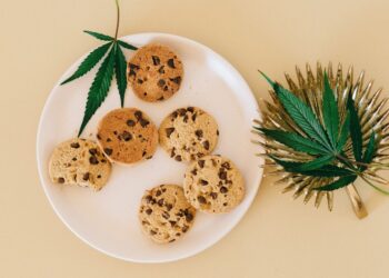 The Pros And Cons Of Edible Marijuana
