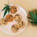 The Pros And Cons Of Edible Marijuana