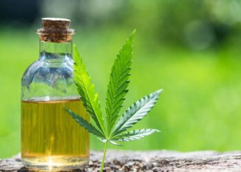 CBD Oil for Weight Loss: How Much Should You Take