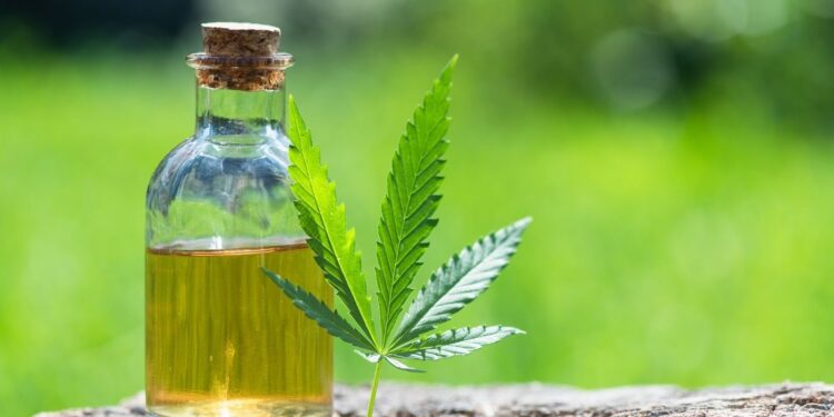 CBD Oil for Weight Loss: How Much Should You Take