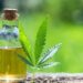CBD Oil for Weight Loss: How Much Should You Take