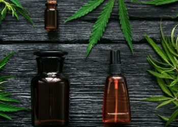 Legal CBD and things to know about cannabidiol in the US