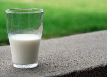 7 Of The Healthiest Foods And Drinks To Eat When You’re Pregnant