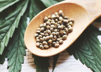 Marijuana Seeds For Sale: What To Know Before Buying