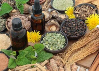 What are Adaptogens and How Can They Help with Stress?