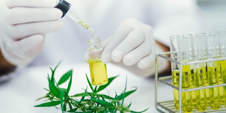 4 Things to Consider While Buying HHC for Sale