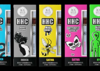 All You Need To Know About HHC Disposable Vapes