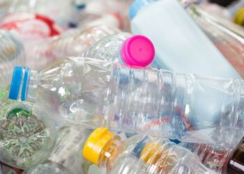 roadrunner ai general atlantic beyondnetzerosawersventurebeat