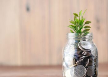 profile anna fang ceo zhenfundszkutakforbes