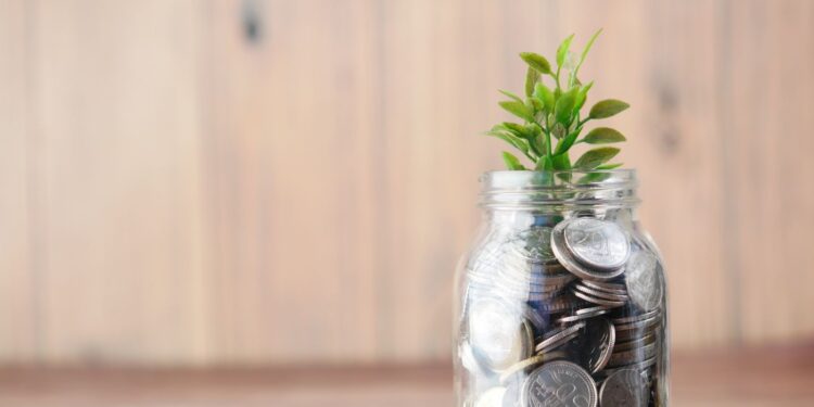 profile anna fang ceo zhenfundszkutakforbes