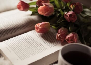 which event described in chapter 1 of the scarlet letter takes place as the story begins?