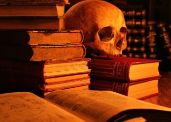 how to make a wild animal in little alchemy