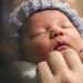 who is the father of amber heard baby reddit