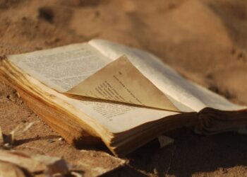 in chapter 28 of moby-dick, which ailment of mankind is best symbolized by ahab’s plight?