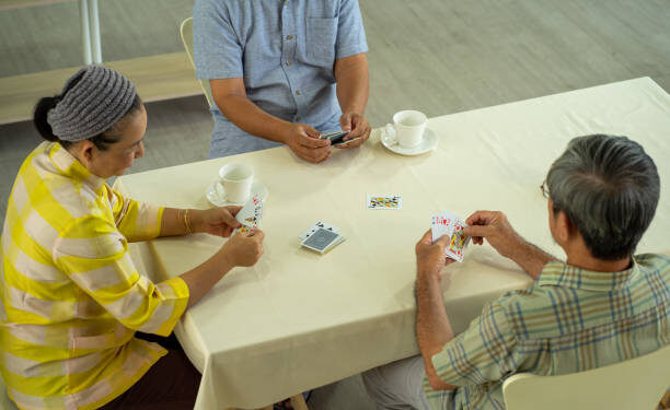 bushocard/2250松平信康