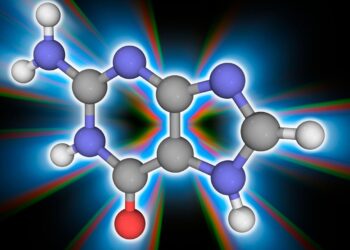 which represents a strand of rna bases?
