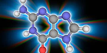 which represents a strand of rna bases?