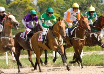 caymanas park final program