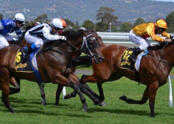 oaklawn park entries and results
