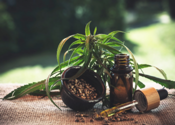 7 Ways To Add Hemp Edibles To Your Daily Meals