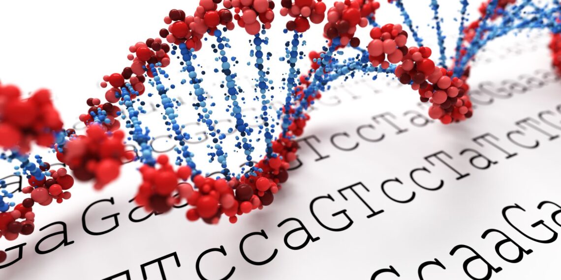 _____ bind(s) to dna enhancer regions.