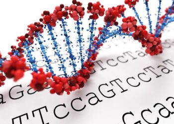 _____ bind(s) to dna enhancer regions.