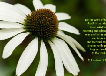 bible gateway verse of the day