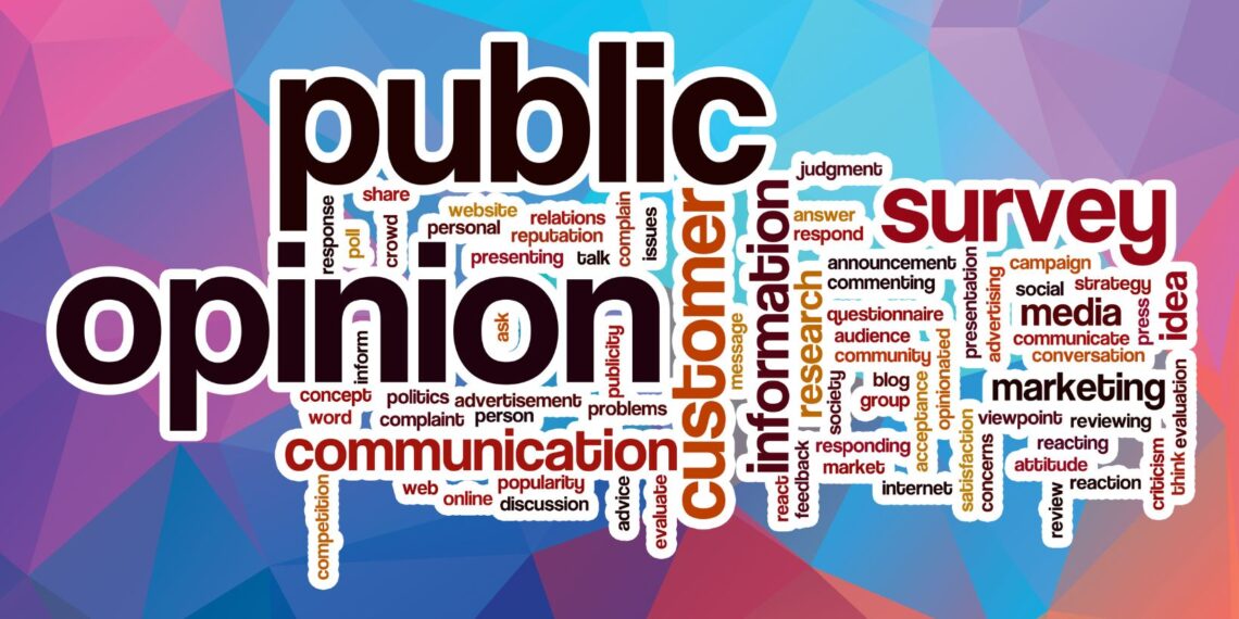 research into public opinion and public policy has shown that