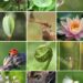 identify the most efficient way to protect biodiversity. explain your reasoning.