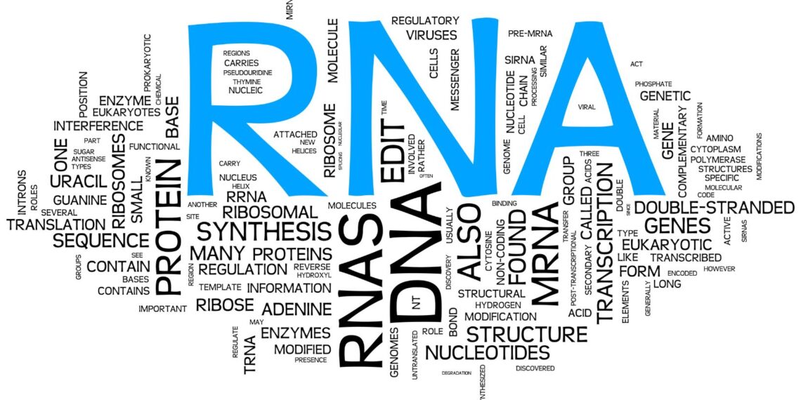 which of the following processes correctly describes alternative rna splicing?