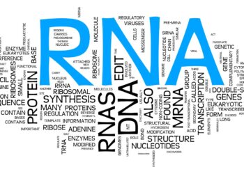 which of the following processes correctly describes alternative rna splicing?
