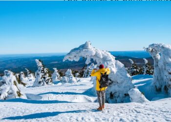 explain why biomes are not typically classified by temperature.