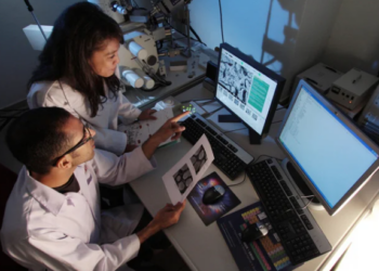 which experiment can be used to investigate the transcriptional regulation of the cdkn1a protein?