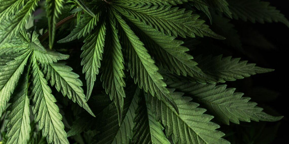 how long does the smell of weed last on clothes