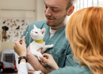 my cat won't let me put flea medicine on her