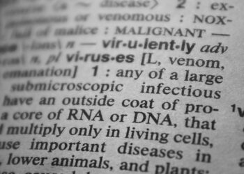 5 letter words beginning with o