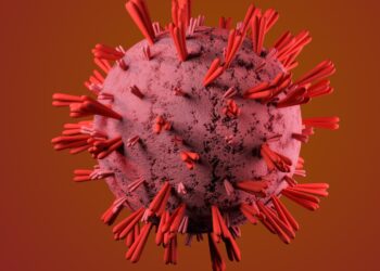 based on the results shown in figure 2, what effect does mutation have on m1 mrna?