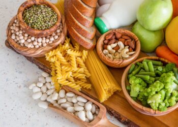 organic nutrients include all of the following except