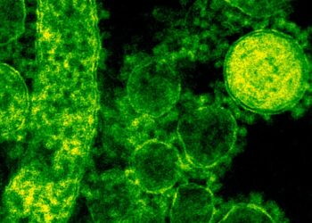 which of the following statements regarding laboratory-acquired infections is true?