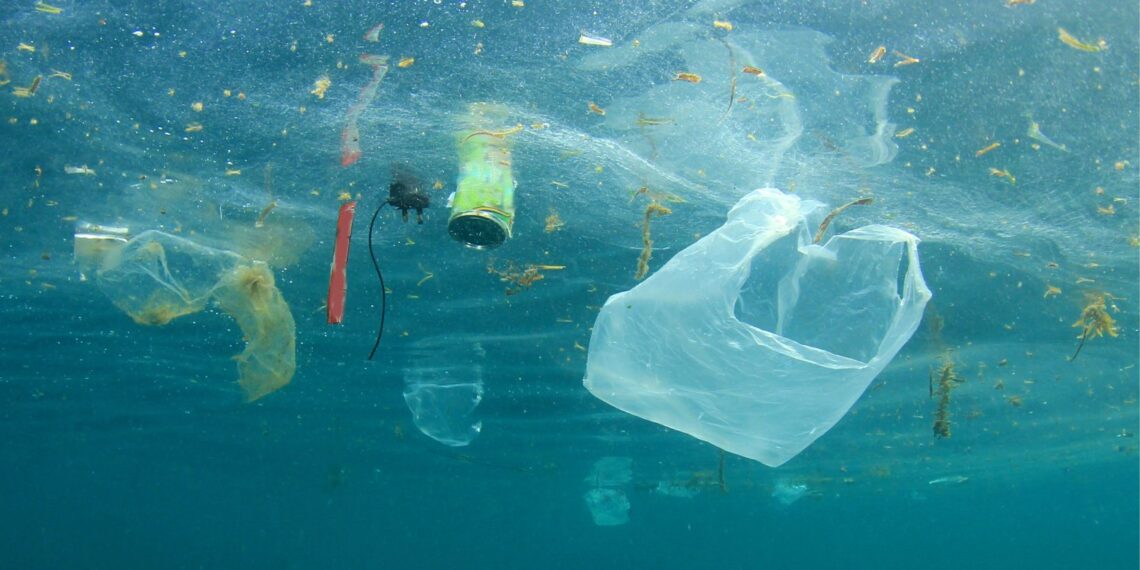 what does the kanapaha wastewater treatment facility use to disinfect the treated water?