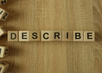 it is important that the nurse manager be able to describe the why