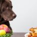 low fat dog food